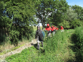 Bluthaeupter im Anmarsch